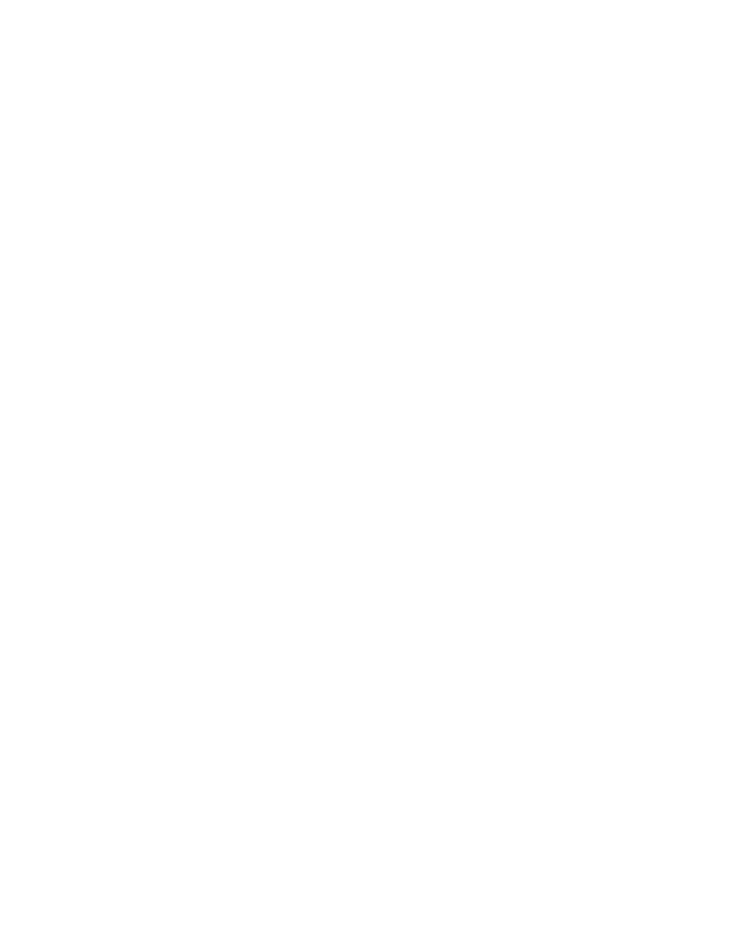 BulgaruVideo